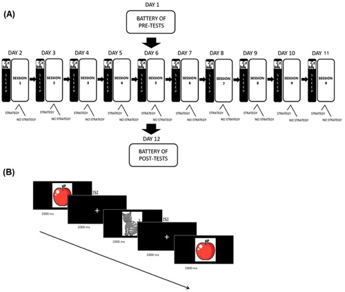 Figure 1. Experimental procedure and paradigm. (A) 20 participants included in the two training groups underwent 10 sessions of N-Back training, and were administered pre- and post-tests to assess transfer effects. (B) Example of stimulus sequence during the N-Back task (2-Back), and its timeline.