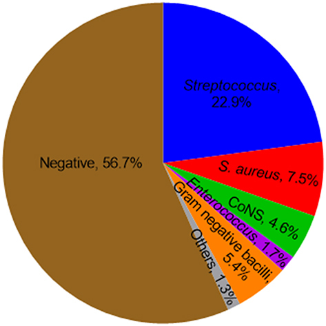 Figure 2 Results of blood culture in 240 IE patients.