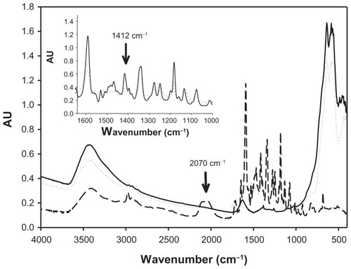 Figure 2 FTIR spectra of bare maghemite nanoparticles, rhodamine B isothiocyanate and SAMN–RITC complex. Samples were lyophilized, homogenized with KBr powder, and pelleted by an 8.0 ton hydraulic press. (—) SAMN, (---) RITC; (········) SAMN–RITC. Inset: Comparison of FTIR spectra of RITC and SAMN–RITC complex in the region 1365–1000 cm−1. (—), RITC; (········), SAMN–RITC.Abbreviations: SAMN, surface-active maghemite nanoparticles; RITC, rhodamine B isothiocyanate; KBr, potassium bromide; FTIR, Fourier-transform infrared.