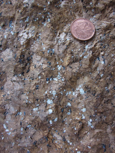 Figure 1. Upper Fir dolomite carbonatite, British Columbia, Canada; slightly weathered surface; dolomite-brown, Na-amphibole – green, apatite – white. Coin for scale is 2 cm in diameter.