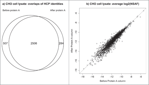Figure 3. CHO cell lysate before and after Protein A depletion: (a) overlap of identified CHO proteins (b) correlation between abundances of individual HCPs detected in both samples.