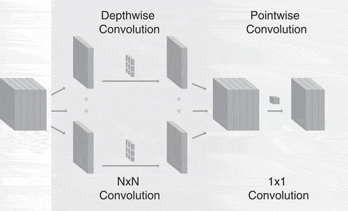 Figure 3. Composition of a separable convolution block.