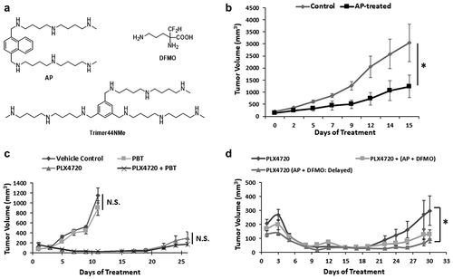 Figure 1. Inhibition of YUMM1.7 tumor growth by AP. A. Chemical structures of AP, DFMO and the Trimer PTI. B. C57Bl/6 mice were subcutaneously injected with 4 × 105 YUMM1.7 cells in the right flank. After two weeks, when the tumors were approximately 150 mm3 in size, the mice were separated into groups and treatment was initiated with AP (1 mg/kg, i.p, daily) or the BRAF inhibitor PLX4720 (417 mg/kg mouse chow). Graph shows YUMM1.7 tumor growth under different treatments (mean tumor volume ± SEM). C. C57Bl/6 mice were subcutaneously injected with 2 × 105 YUMM1.7 cells in the right flank. After two weeks, when the tumors were approximately 40 mm3, mice were separated into groups and treatment was initiated with the polyamine transport inhibitor Trimer44NMe PTI (3 mg/kg, i.p., daily) plus 0.25% DFMO (w/v) in the drinking water ± PLX4720 (25 mg/kg by oral gavage twice daily during the week and once daily on the weekends). Graph shows YUMM1.7 tumor growth under different treatments (mean tumor volume ± SEM). D. C57Bl/6 mice were subcutaneously injected with 4 × 105 YUMM1.7 cells in the right flank. After two weeks when the tumors were between 150–250 mm3, the mice were separated into treatment groups and treatment with PLX4720 (417 mg/kg in mouse chow) was initiated. One day later, co-treatment with AP (1 mg/kg, i.p., daily) and DFMO (0.5% w/v in the drinking water) was started in PLX4720 + (AP + DFMO) group concurrent with continued PLX4720 treatment. Co-treatment with AP and DFMO was initiated in a third group of PLX4720 treated mice 9 days after PLX4720 was started treatment (termed the PLX4720 + [AP + DFMO: delayed] treatment group). n = 4–6 mice per group; * = p ≤ 0.05 compared to vehicle treated mice