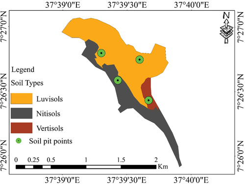 Figure 3. Major soil groups of Ajacho Lintala irrigation scheme.