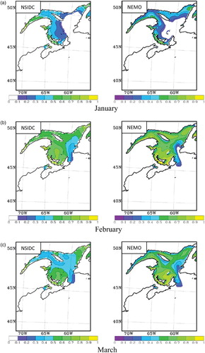 Fig. 4 Monthly ice concentration (colour bar: fractional surface area of all types of ice) from NSIDC data (left panels) and the model simulation (right panels) , averaged over the 1970–1999 period: (a) January, (b) February, and (c) March.