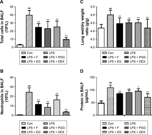 Figure 2 Effects of QBD extract and its compounds on LPS-induced lung injury.