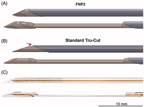 Figure 1. Sketches and photos of the needles used in this study. (A) The Forsvall Needle Prototype 2 (FNP2) in the closed (top) and opened (bottom) positions. (B) A standard Tru-Cut needle in the closed (top) and opened (bottom) positions. Red arrow indicates a gap between the inner and outer needles that traps bacteria as it passes the colon wall, as shown in a previous study [Citation8]. (C) Photo of the Forsvall Needle Prototype 2 (FNP2) in the closed (top) and opened (bottom) positions. Scale bar indicates 10 mm.