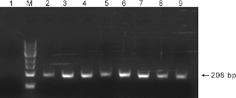 Figure 2. PCR analysis of the SLS gene in G10H-positive yeast transformants. Lane M: 100 bp DNA Ladder Marker (Trans DNA Marker, TransGen Biotech, Inc., Beijing, China); Lane 1: genomic DNA of the control yeast cells treated with ion implantation and incubated in TE buffer without G. macrophylla genomic DNA as the template; Lane 2: genomic DNA of G. macrophylla as the template; Lanes 3–9: genomic DNA of G10H-positive yeast transformants as the template.