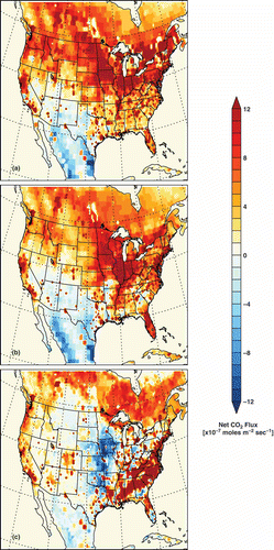 Figure 3. Sensitivity of monthly mean net CO2 fluxes to choice of NEE, (a) CT2011 for VCT (“our standard model”), (b) CASA for VCS, and (c) Community Land Model 4VIC-BG1 for VCL. Fossil-fuel emissions (Vulcan inside the United States and CDIAC outside), fire emissions (GFED), and ocean fluxes (CT2011) are the same for the three model configurations.