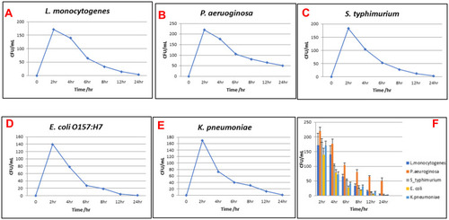 Figure 3 Time-kill assays of AgNPs-H2O2 against multidrug-resistant bacteria. (A) L. monocytogenes, (B) P. aeruginosa, (C) S. typhimurium, (D) E. coli O157:H7, (E) K. pneumoniae, and (F) comparison of time-kill assay of AgNPs-H2O2 against all tested MDR bacteria. The measurements were made at 0, 2, 4, 6, 8, 12, and 24 hours post-treatment, viability of microorganisms expressed by CFU/mL, data points represented by mean±SEM for triplicates of each experiment.