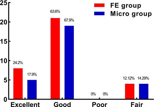 Figure 3 Surgical satisfaction rates according to the modified Macnab criteria, excellent or good rate were 87.88% in FE group and 85.71% in Micro group at the 12-month review. There were no significant differences between the groups.