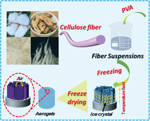 Figure 1. Schematic of natural cellulose aerogel preparation.