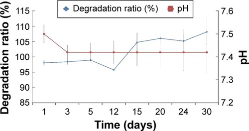 Figure 4 Degradation ratio of CNT/SF-nHA/PA66 scaffolds.Notes: The degradation samples were evaluated in SBF from 1 to 30 days. The results obtained from three data values are presented as mean ± standard deviation, n=3.Abbreviations: CNT, carbon nanotube; nHA, nano-hydroxyapatite; PA66, polyamide 66; SBF, simulated body fluid; SF, silk fibroin.