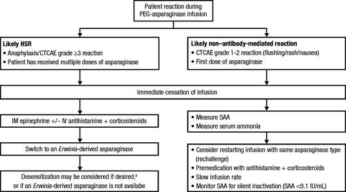 Figure 3. Management of suspected HSRs during PEG-asparaginase therapy [Citation36,Citation40,Citation44,Citation77,Citation81,Citation97]. aPatients who experience silent inactivation should not be considered candidates for desensitization. CTCAE: Common Terminology Criteria for Adverse Events; HSR: hypersensitivity reaction; IM: intramuscular; IV: intravenous; PEG: polyethylene glycol; SAA: serum asparaginase activity.