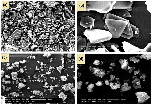 Figure 5. SEM photographs of (a and b) azine and (c and d) polyazine.