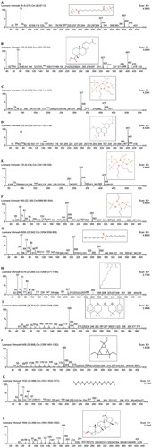 Figure 9. Mass spectra of hydroethanolic leaf extract of Lantana camara.