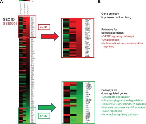 Figure 8 Expression of AUF-1-dependent genes in airway epithelial gene array database GSE5058.