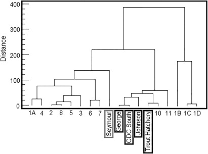 Figure 9 Hierarchical cluster analysis pattern for the five samples: Seymour; Trout Hatchery; Johnson; CDC South; and George revealed by van Bekkum et al. (Citation2006). Black and grey-margined boxes were used to indicate the sites belonging to the two different clusters represented in Figure 5.