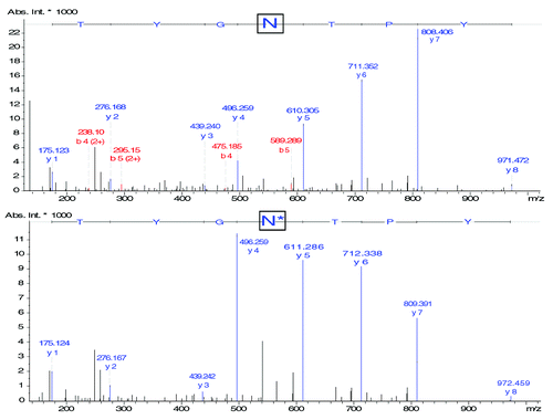 Figure 5. MS/MS spectra of peptide HT04 (IYPTNGYTR) (A) without modification and (B) with a deamidation on Asn55 illustrating the partial modification of the mAb and the characterization of both forms by CESI-MS/MS. Experimental conditions: see Materials and Methods.