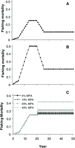 FIGURE 1 Pattern of annual fishing mortality (F) in the fished region over time for scenarios in which (A) the intrinsic rate of increase (r) equals 0.2 and F was reduced to the level that supports maximum sustainable yield (FMSY ) after implementation of the marine protected area (MPA), (B) r equals 0.4 and F was reduced to FMSY after MPA implementation, and (C) r equals 0.2 and fishing effort originally occurring in the MPA region was redistributed to the non-MPA region after MPA implementation. In the FMSY scenarios, the fishing effort applies to all MPA sizes (MPA = 5–40% of the total stock area). After the first 20 years, F in the MPA was zero.