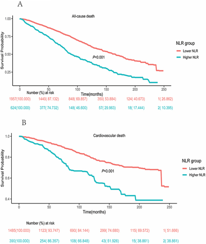 Figure 4 Kaplan–Meier analysis of the survival rate and the number (%) of at risk DKD patients with higher (>3.07) and lower (<3.07) NLR values. (A) All-cause mortality. (B) Cardiovascular mortality.
