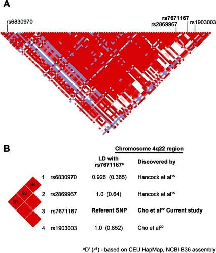 Figure 2 Linkage disequilibrium map of the chromosome 4q22 region including the FAM13A SNPs reported to date.