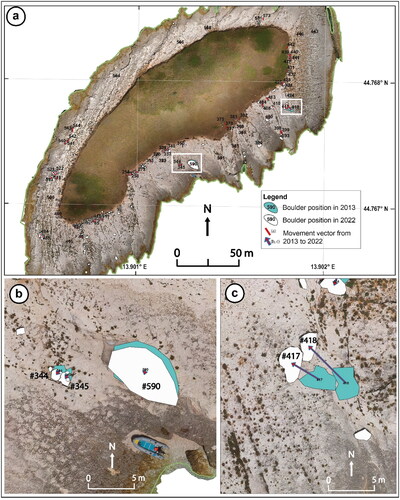 Figure 8. (a) map view of boulder movements for the period 2013-2022 comparing the position using Google Earth imagery (February 2, 2013), and the UAV-derived orthomosaic (June 27, 2022); (b) view of boulder displacement #344, #345, and #590; (c) view of boulder displacement #417, and #418.