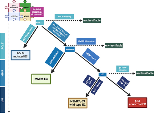 Figure 1 ProMisE classification for endometrial cancer. The Proactive Molecular Risk Classifier (ProMisE) is a decision tree analysis and the order of stratification differs from TCGA analysis. Analyses are sequentially ordered from POLE status to MMR status and finally p53 immunohistochemistry. The first step is to assess for POLE pathogenic mutations, if present, the tumor is classified as POLE-mutated. If absent (POLE wild type) or non-pathogenic mutations are detected, tumors are evaluated for MMR by IHC and classified as deficient (MMRd) or intact (MMR proficient; MMRp). Then, p53 status is evaluated. If p53 IHC is marked as 0 or 2+ is then classified as p53 abnormal and p53 wild type/NSMP if p53 IHC shows normal pattern (1+). This system has been confirmed and validated previously.Citation28 Adapted from Jamieson A, Barroilhet L M, McAlpine J N. (2022). Molecular classification in endometrial cancer: Opportunities for precision oncology in a changing landscape. Cancer, 128(15), 2853–2857. © 2022 American Cancer Society.Citation28 Created with Biorender.com.