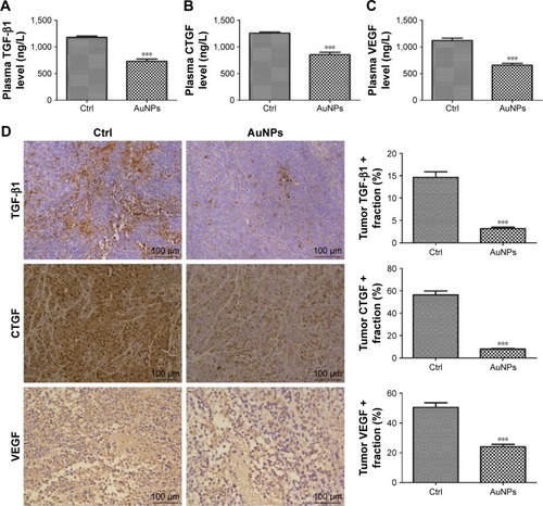 Figure 3 AuNPs decreased profibrotic cytokine levels in plasma and SW620 tumor.Notes: (A) Plasma level of TGF-β1 was decreased after treatment with AuNPs (n=6, ***P<0.001). (B) Plasma level of CTGF was decreased (n=6, ***P<0.001). (C) The plasma level of VEGF was reduced after the administration of AuNPs (n=6, ***P<0.001). (D) Histologic images of the effect of AuNPs on TGF-β1, CTGF, and VEGF expression in SW620 tumor (n=6). Scale bar, 100 µm. AuNPs decreased the expression of TGF-β1, CTGF, and VEGF (***all P<0.001) in SW620 tumor. Student’s t-test was used for analysis, and error bars indicate SEM.Abbreviations: AuNPs, gold nanoparticles; CTGF, connective tissue growth factor; Ctrl, control; SEM, standard error of the mean; VEGF, vascular endothelial growth factor.