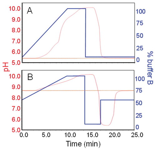 Figure 1. A.) Gradient from 0–100% buffer B in 10 minutes followed by 4 minutes of column flushing and 12 minutes of column equilibration. Twelve minutes of column equilibration are equalling ~28 column volumes at a flow rate of 0.4 mL min−Citation1. The buffer pH was monitored in real-time over the full duration of the run and is represented by the red profile. The pH trace indicates the chromatographic system to cover a pH-range of ~5.3 to ~10.2. B.) pH trace indicating full column equilibration exemplarily shown for gradient starting conditions of 50% buffer B. By the application of a 2-step equilibration procedure, full column equilibration was achieved in less than 10 minutes.