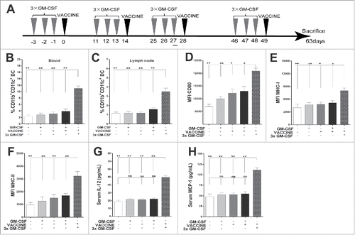 Figure 1. 3 × GM-CSF+VACCINE promotes the activation of CD11b+ CD11c+DC. (A) Schematic illustration of the full immunization workflow in AAV8–1.3HBV infected mice. (B, H) Three days after the second immunization, blood and inguinal lymph nodes were collected from the different immunization groups and analyzed. The percentages of CD11b+CD11c+ DC in blood (B) and inguinal lymph nodes (C) are shown. (D-F) Comparison of markers on CD11b+CD11c+ DC in blood: CD80 (D), MHC-I (E), and MHC-II (F). (G-H) Serum concentrations of IL-12 (G), and monocyte chemoattractant protein-1 (MCP-1, H).