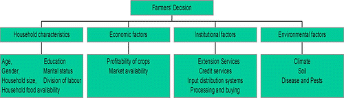 Figure 1: Factors affecting farmers' decisions to cultivate cash crops. Source Lukanu et al. Citation(2004).