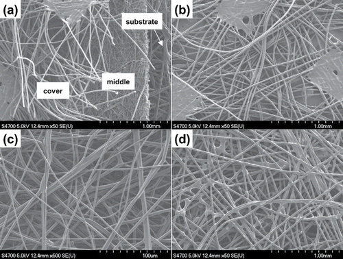 Figure 1. SEM images of (a) 3-layer filter A and filter B, (b) cover layer of filter A and filter B, (c) middle layer of filter A and filter B, and (d) substrate layer of filter A and filter B.