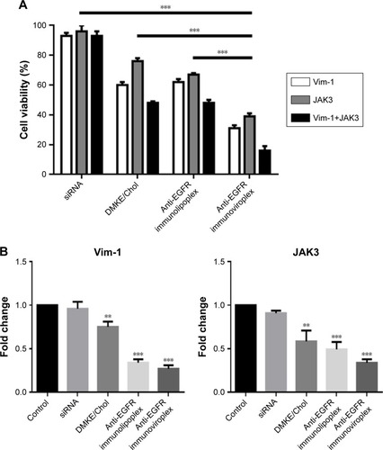 Figure 4 In vitro anticancer activity of Vim and JAK3 siRNAs.Notes: (A) Cell viability was measured by CCK-8 assay 24 hours later. SK-OV-3 cells were treated with anti-EGFR immunonanoparticles containing Vim-1 and/or JAK3 siRNAs. ***P<0.001 between test groups. (B) Relative mRNA expressions of the Vim-1 and JAK3 were analyzed by real-time RT-PCR. The expressions of Vim-1 and JAK3 in SK-OV-3 cells treated with various liposomal formulations were examined 16 hours post transfection using RT-qPCR. The ΔΔCT method was used to calculate the RT-qPCR fold changes using GAPDH mRNA for normalization, and all the expression changes were relative to the untreated control. Triplicate independent RT-qPCR was performed. **P<0.01 and ***P<0.001 vs siRNA-treated.Abbreviations: Vim, vimentin; CCK-8, Cell Counting Kit-8; RT-PCR, reverse transcription polymerase chain reaction; RT-qPCR, reverse transcription quantitative polymerase chain reaction; DMKE, O,O′-dimyristyl-N-lysyl glutamate.