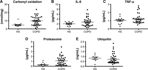 Figure 3 (A) Serum protein carbonyl levels in healthy subjects and subjects with COPD. (B) IL-6 levels in healthy subjects and COPD patients. (C) Serum TNF-α levels in healthy subjects and COPD patients. (D) Serum proteasome activity in healthy subjects and COPD patients. (E) Serum ubiquitin levels in healthy subjects and COPD patients. **P<0.01 between groups.