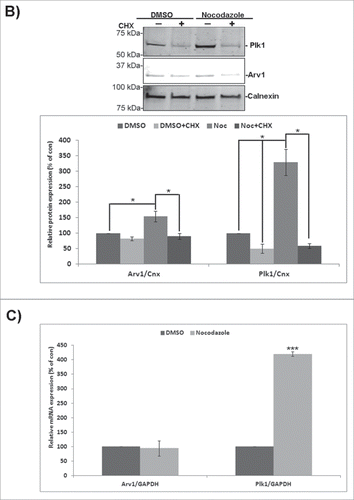 Figure 1. (Continued)