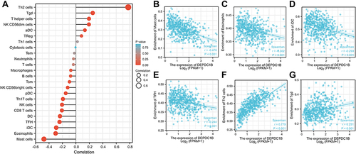 Figure 7 Correlations between immune cell infiltration and DEPDC1B expression levels in LUAD. (A) Relationship between DEPDC1B expression and infiltration of 24 immune cell types. Relationship between DEPDC1B expression and infiltration of (B) mast cells, (C) eosinophils, (D) iDCs, (E) TFHs, (F) Th2 cells, and (G) Tgd cells.