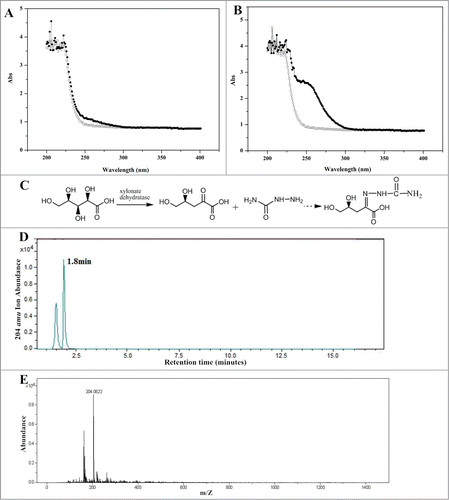Figure 3. HRMS assay of semicarbazide derivative of D-xylonate dehydration product (KDX). (A) Wavelength scanning (200–400 nm) of 30 min reaction mixture, control sample (○), reaction sample (•). (B) Wavelength scanning (200–400 nm) of 4 h reaction mixture. (C) The reaction of KDX derivatization. (D) MS ion chromatogram for the KDX derivative assay. (E) Mass spectra of peak at 1.8 min from the MS ion chromatogram.