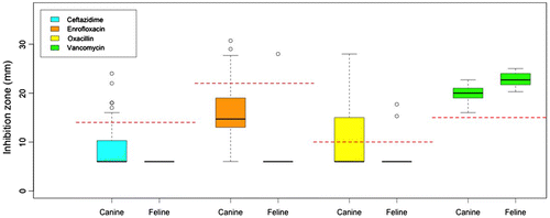 Figure 3. Boxplots of antibiotics resistance profiles, which are measured by inhibition zone (mm), of canine and feline isolates.