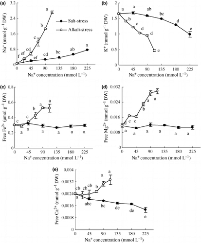 Figure 4 Effects of salt and alkali stresses on the contents of (a) Na+, (b) K+, (c) free Fe2+, (d) free Mg2+ and (e) free Ca2+ in the wheat shoots. Salt stress: NaCl : Na2SO4 = 1:1, pH 6.6–6.95; alkali stress: NaHCO3 : Na2CO3 = 1:1, pH 9.77–9.96. The values are the means of five replicates. Means followed by different letters in the same curve are significantly different at P ≤ 0.05 according to a least significant difference test. DW, dry weight.
