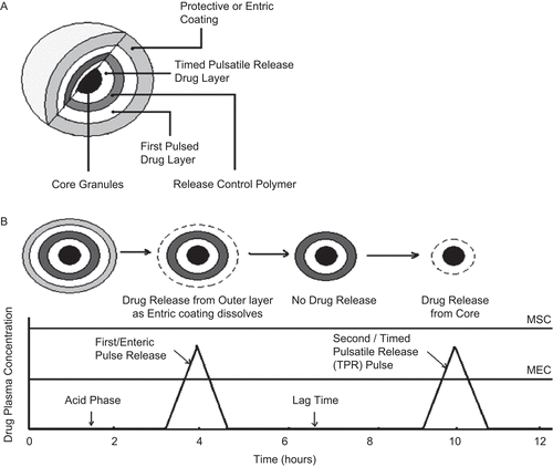 Figure 5.  Hypothetical design and plasma drug profile of a multi-particulate PDDS. (a) Design of a pellet with multiple coatings, (b) Predicted bi-modal plasma concentration profile.