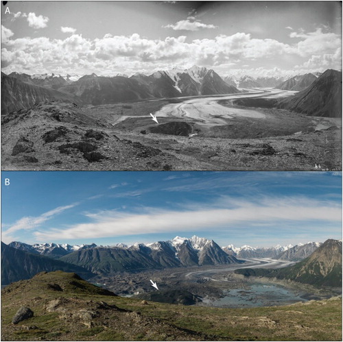 Figure 3. Historic and modern photographs of Kaskawulsh Glacier terminus. (A) Photo panorama taken by Dominion Land Surveyor James Joseph McArthur in 1900. (B) Photo panorama taken at the same location as (A) by the Mountain Legacy Project (http://explore.mountainlegacy.ca/) in 2012. Both panoramas comprise multiple high-resolution photographs. Note the presence of the bedrock hill described in the text, annotated with white arrows. The historic image is archived in the Library and Archives Canada/Bibliothèque et Archives Canada (http://www.bac-lac.gc.ca/eng/Pages/home.aspx). The images are used under a Creative Commons Attribution-NonCommercial 4.0 International License. A slider comparison is available at http://tinyurl.com/ya2nzlky