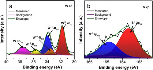 Figure 3. X-ray photoelectron spectroscopy (XPS). High-resolution core-level spectra of (a) W 4f and (b) S 2p of WS2/3D-PCE.