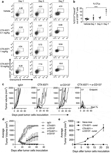 Figure 8. Anti-tumor efficacy of CTX-8371 in combination with anti-CD137 antibodies. (a) Representative contour plots for each dose and time point showing CTL frequencies, gated on CD8+ T cells. (b) CD137+Granzyme B+CD8+ T cell frequencies in the 10 mg/kg and control (mean ± SEM, n = 4). ****, p < 0.0001, **, p < 0.001, *, p < 0.05. One-way ANOVA and Dunnett’s multiple comparisons test. (c) Individual tumor growth curves (n = 7) (d) Average tumor volume (mm3) for each treatment group. (e) MC38-hPD-L1 tumor growth plot of re-challenged tumor-free and naïve control mice (mean ± SEM, n = 4–10).