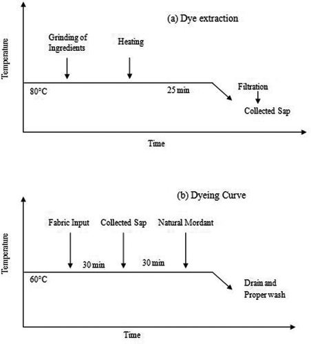 Figure 1. (a) Dye extraction and (b) Dyeing Curve for sample fabric