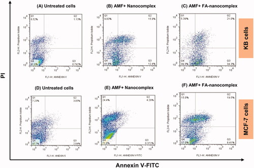 Figure 9. Flow cytometric analysis to determine the death modes of KB and MCF-7 cells pretreated with the nanocomplex (30 µg/ml; 12 h) with and without folic acid (FA) modification followed by AMF (100 kHz; 10 kOe; 20 min) compared to untreated cells.