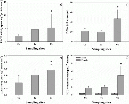 Figure 2.  Measurements of various molecular biomarkers of EROD activity (a), DNA tail moment by comet assay (b), acetylcholinesterase (AChE) activity (c), and vitellogenin (VTG) concentrations (d) in the male and female pale chubs (Zacco platypus) of the control zone (Cz), transition zone (Tz), and urban zone (Uz) of Daejeon Stream, respectively. Each value was expressed as mean±standard deviation, and the asterisk indicates the meaning when the value in each zone was significantly (Cz, P<0.05) different from the controls.