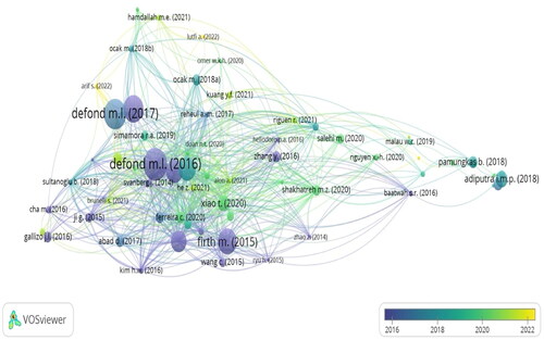 Figure 6. Bibliography Coupling with Overlay Visualization.