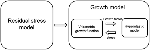 Figure 2. Computational model framework that couples the residual stress with hyperelastic stressed-based growth model.