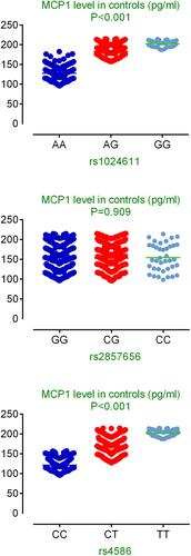 Figure 1 Associations between MCP-1 SNPs and circulating level of MCP1 in healthy controls.